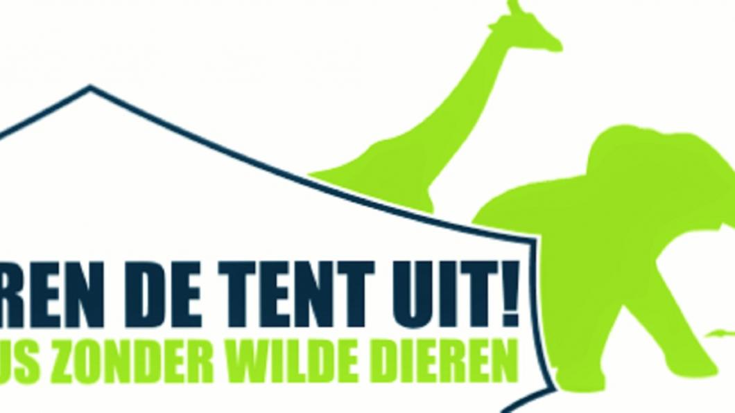 wilde dieren tent uit.jpg