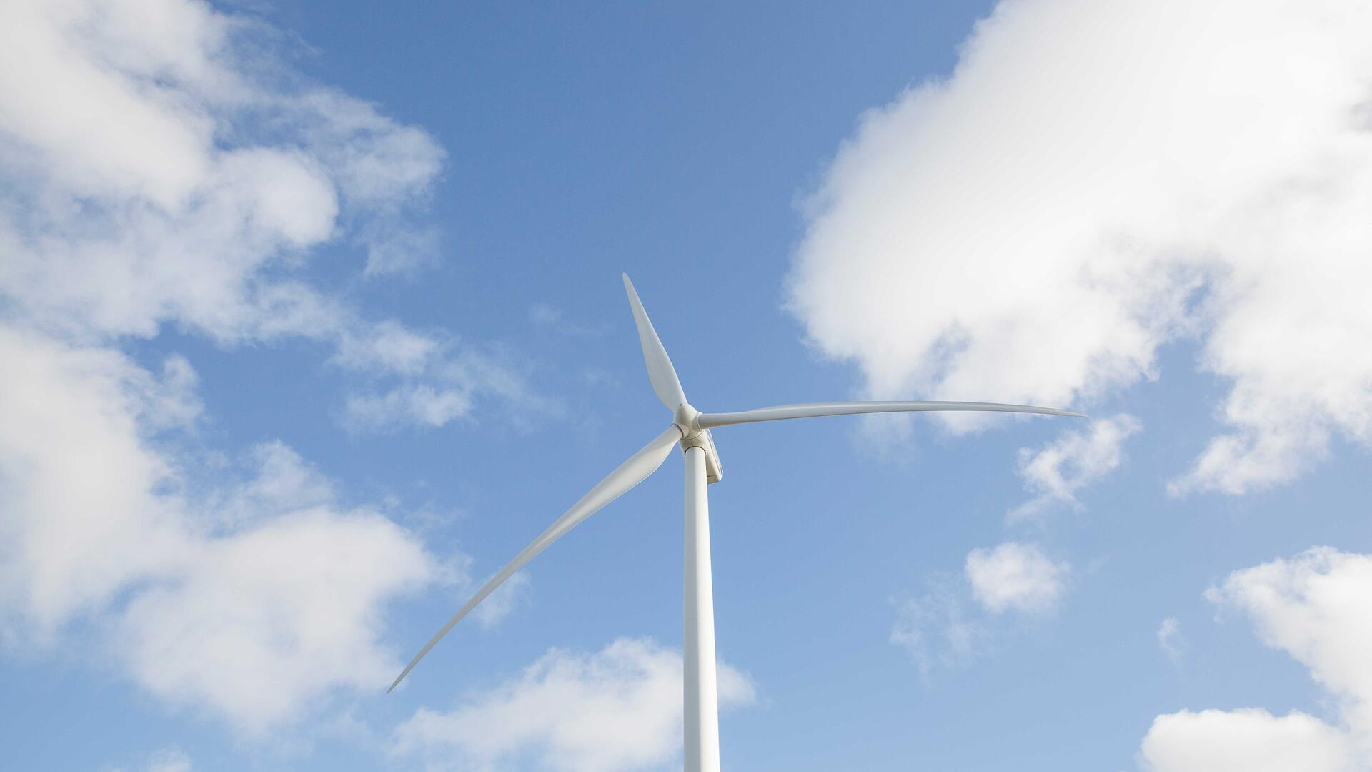 Windmolen GroenLinks beeldbank