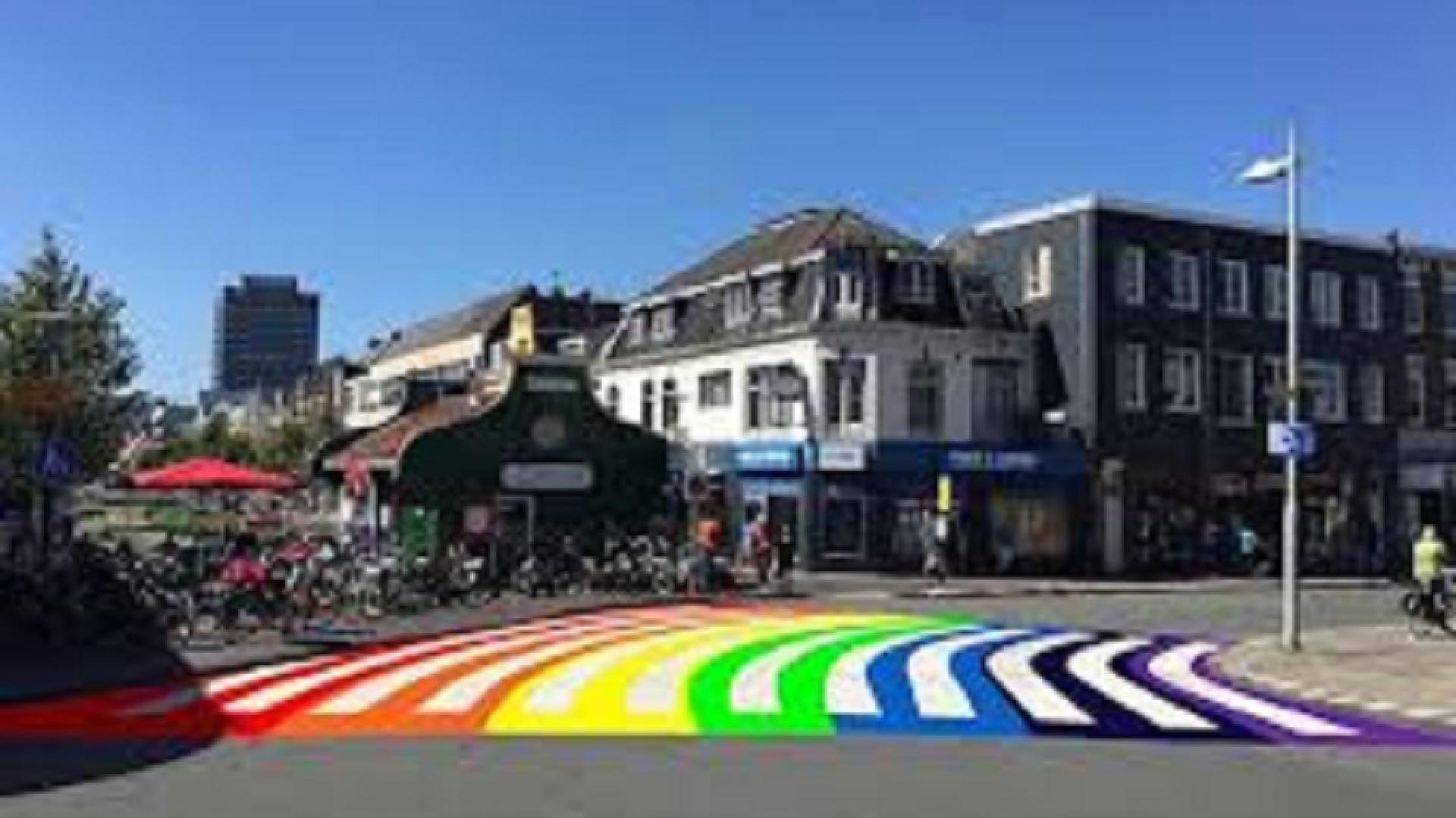 regenboogzebra.jpg